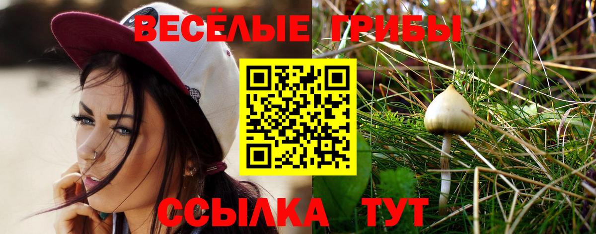 Псилоцибиновые грибы мухоморы Ипатово