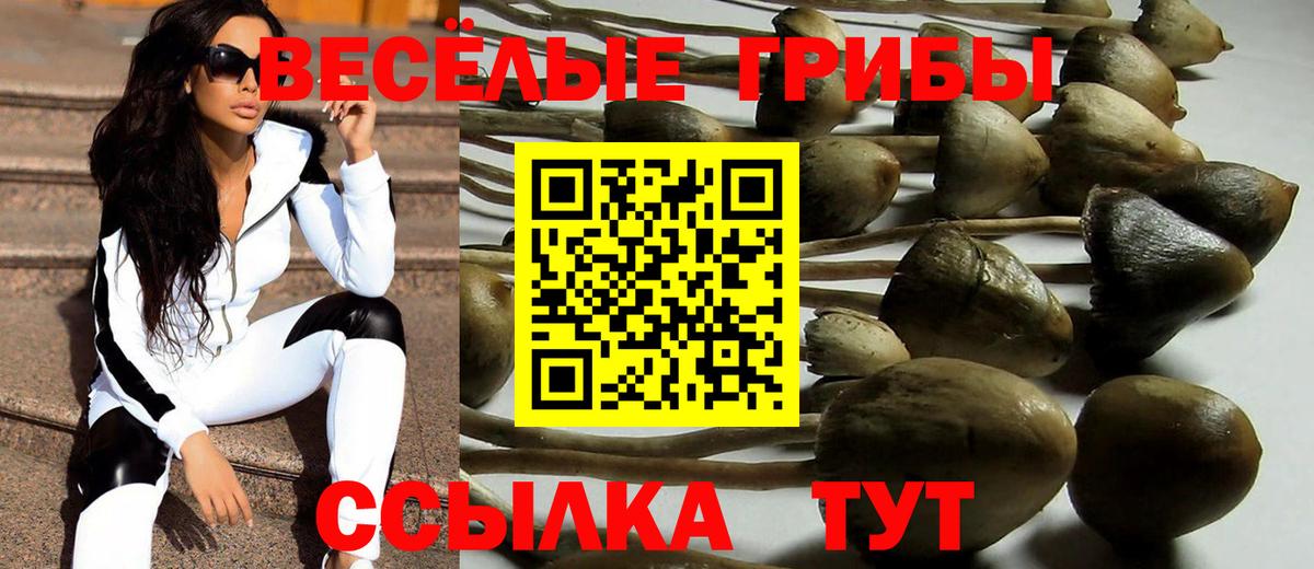 Ипатово  Псилоцибиновые грибы Psilocybine cubensis  Вход с VPN  Галлюциногенные грибы Magic Shrooms 